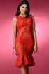 Sexy Red Romance Lace Midi Dress